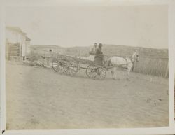 Miles Gaffney and man on wagon at Bodega Head Ranch