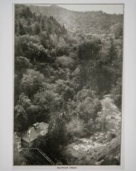 Sulphur Creek near the Geyser Hotel, Sonoma County, California, 1890s