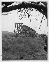 Remains of the railroad trestle near Valley Ford on April 24, 1964