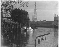 Boats moored in the Turning Basin