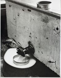 Whey draining out of a vat of curds at the Petaluma Cooperative Creamery, about 1955