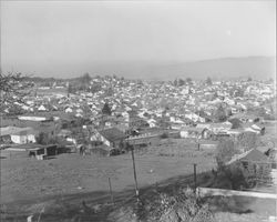 Views of Petaluma from La Cresta Hill, Petaluma, California, 1954