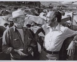 Earl J. Dolcini with William J. Filante at the Dolcini Ranch, Hicks Valley Road and Point Reyes-Petaluma Road, Petaluma, California, in the 1980s