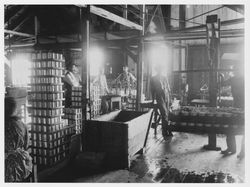 Walden and Company fruit cannery, Geyserville, California, 1890