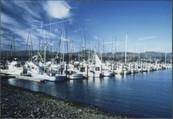 Boats docked at Spud Point Marina