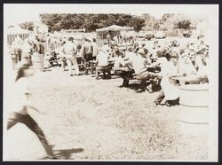 Sebastopol area picnic