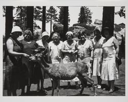 Native Daughters of the Golden West in Yosemite