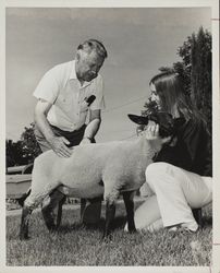 Janet Kemp with her Suffolk lamb at the Sonoma County Fair, Santa Rosa, California, about 1972