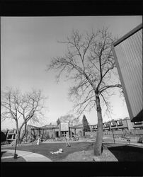 View of the Gaslight Apartments grounds, 3637 Sonoma Avenue, Santa Rosa, California, January 10, 1972