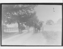 Two buggies on Olema Road near Novato, California, 1915