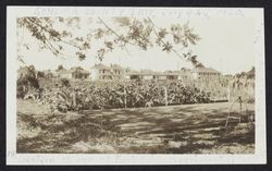 Charles Street and Burbank gardens