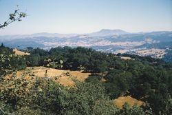 Looking east toward Rincon Valley and the Valley of the Moon from top of Taylor Mountain, Sonoma County, Calif., June 6, 1965