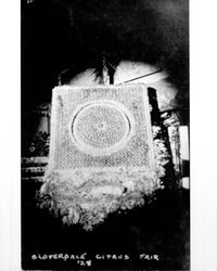 Display of citrus at Cloverdale Citrus Fair '28