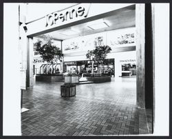 J C Penney at Coddingtown, Santa Rosa, California, 1982