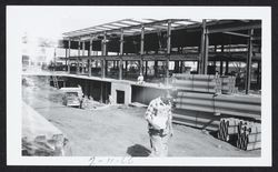 View of the steel girders of the Sonoma County Library during construction