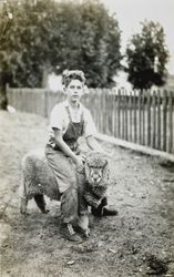 Russell Donogh with a sheep at the family ranch, 7055 Old Lakeville Highway, Petaluma, California, about 1930