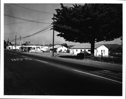 Businesses along Sonoma Highway, Santa Rosa, California, 1962