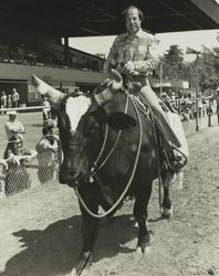 Jack DeMeo rides steer on Farmers' Day at the Sonoma County Fair, Santa Rosa, California