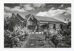 Quivira Winery building