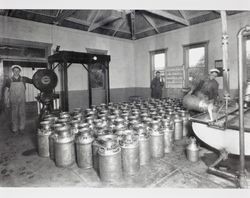 Three unidentified men at work in the Petaluma Cooperative Creamery's receiving room, about 1920