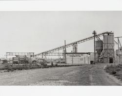 Petaluma Ready Mix Concrete Company yard, Petaluma, California, about 1954