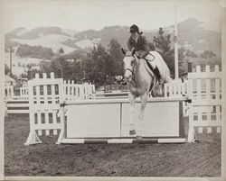 Dressage at the Beck Arena at the Sonoma County Fair, Santa Rosa, California