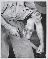 Tom Campbell files outside of a new horse shoe at the Sonoma County Fair Racetrack, Santa Rosa, California