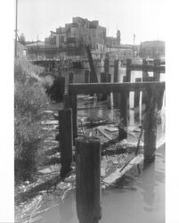 Petaluma River Turning Basin looking toward McNear Hay and Grain warehouse