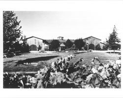 Tasting room at De Loach Vineyards, 1791 Olivet Road, Santa Rosa, California