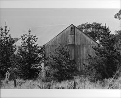 Exterior and outbuildings of The Gables, 4257 Petaluma Hill Road, south of Santa Rosa, California, September 1983