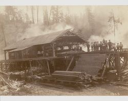 Sawmill in the Occidental region of Sonoma County, early 1900s