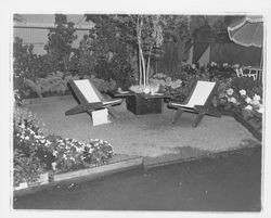 Mann's Nursery display at Fair, Santa Rosa, California, 1955