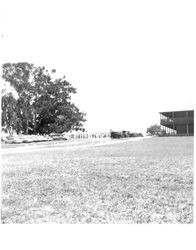 Vintage cars at the Old Adobe Fiesta, Petaluma, California, about 1963