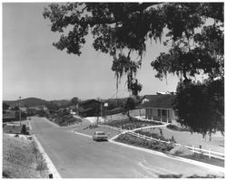 Residences in an unidentified Santa Rosa, California neighborhood, Santa Rosa, California, 1956