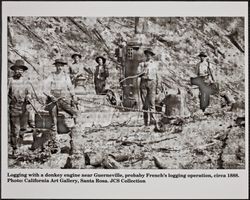 Logging with a donkey engine, Guerneville, California, about 1888