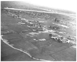 Aerial view of Gobbi Ranch and surrounding area along Ludwig Avenue, Santa Rosa, California, 1958