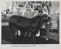 1971 Sonoma County Fair, Santa Rosa, California