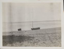 Sailboat and rowboat belonging to Miles Jaffney at Bodega Head Ranch, Bodega Bay, California, 1914