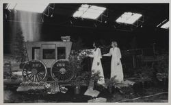 Go West Flower show at the Hall of Flowers at the Sonoma County Fair, Santa Rosa, California, 1977