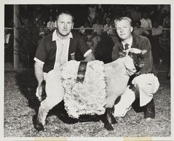 Steve Lowe and his FFA Champion Fat Lamb at the Sonoma County Fair, Santa Rosa, California