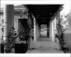 Walkway at the Maclay/Sanderson home at 600 D Street, Petaluma, California, about 1923