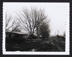 2021 Blue Bell Drive, Santa Rosa, California, looking east, Feb. 8, 1968