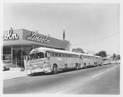 Large group at G.K. Hardt preparing to board buses to San Francisco, Santa Rosa, California, 1960