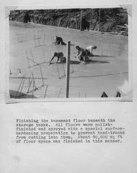 Men finishing the basement floor of the Poultry Producers of Central California mill, Petaluma, California, about 1937