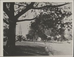 Hill Plaza Park, Petaluma, California, 1900