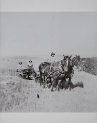 Harvest time on the Akers ranch in Schellville, California, photographed between 1890 and 1900