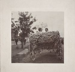 Horse and carriage decorated in roses for the Rose Carnival