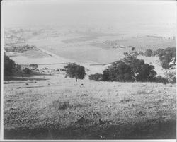 View of farms in Sonoma Valley