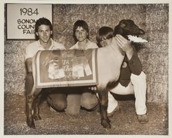 FFA Grand Champion Market Suffolk lamb at the Sonoma County Fair, Santa Rosa, California, 1984