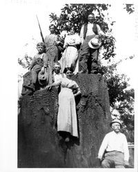 People standing on redwood stump at Speckter Ranch